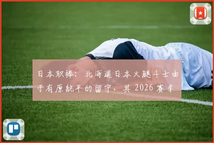 日本职棒：北海道日本火腿斗士由于有原航平的留守，其 2026 赛季投捕战力得到了极大稳固