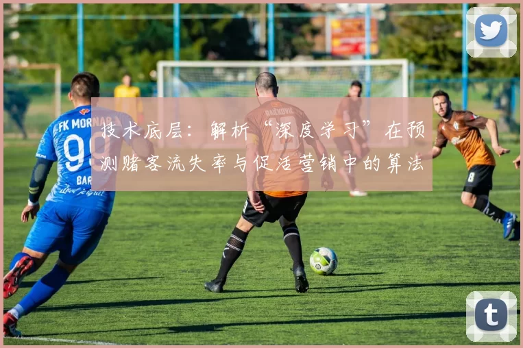 技术底层：解析“深度学习”在预测赌客流失率与促活营销中的算法模型。（深度学习的技术底层解析：用于赌客流失预测与促活营销的算法模型）