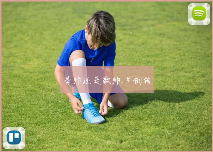 哥帅还是歌帅.# 倒钩