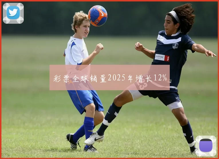 彩票全球销量2025年增长12%