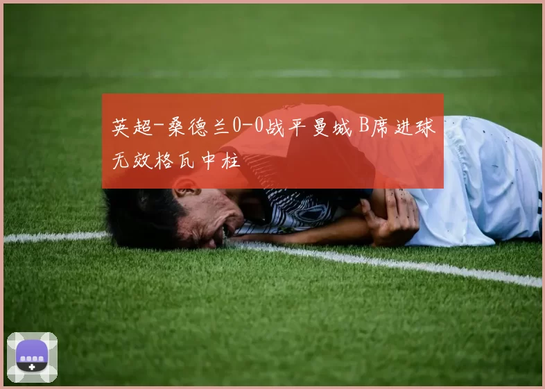 英超-桑德兰0-0战平曼城 B席进球无效格瓦中柱