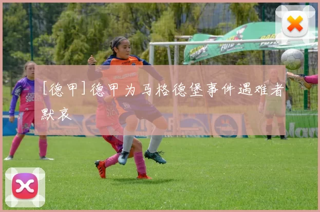 [德甲]德甲为马格德堡事件遇难者默哀