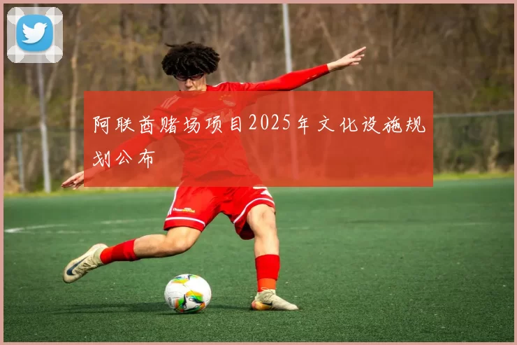 阿联酋赌场项目2025年文化设施规划公布